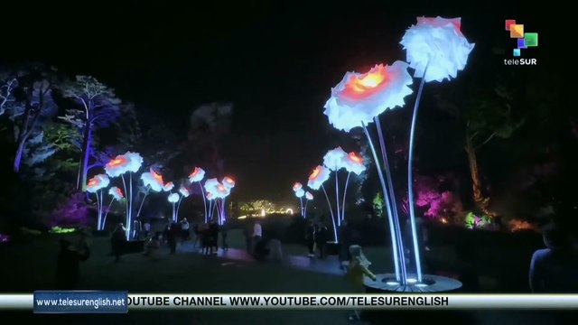 Golden Gate park opens Lightscape tour