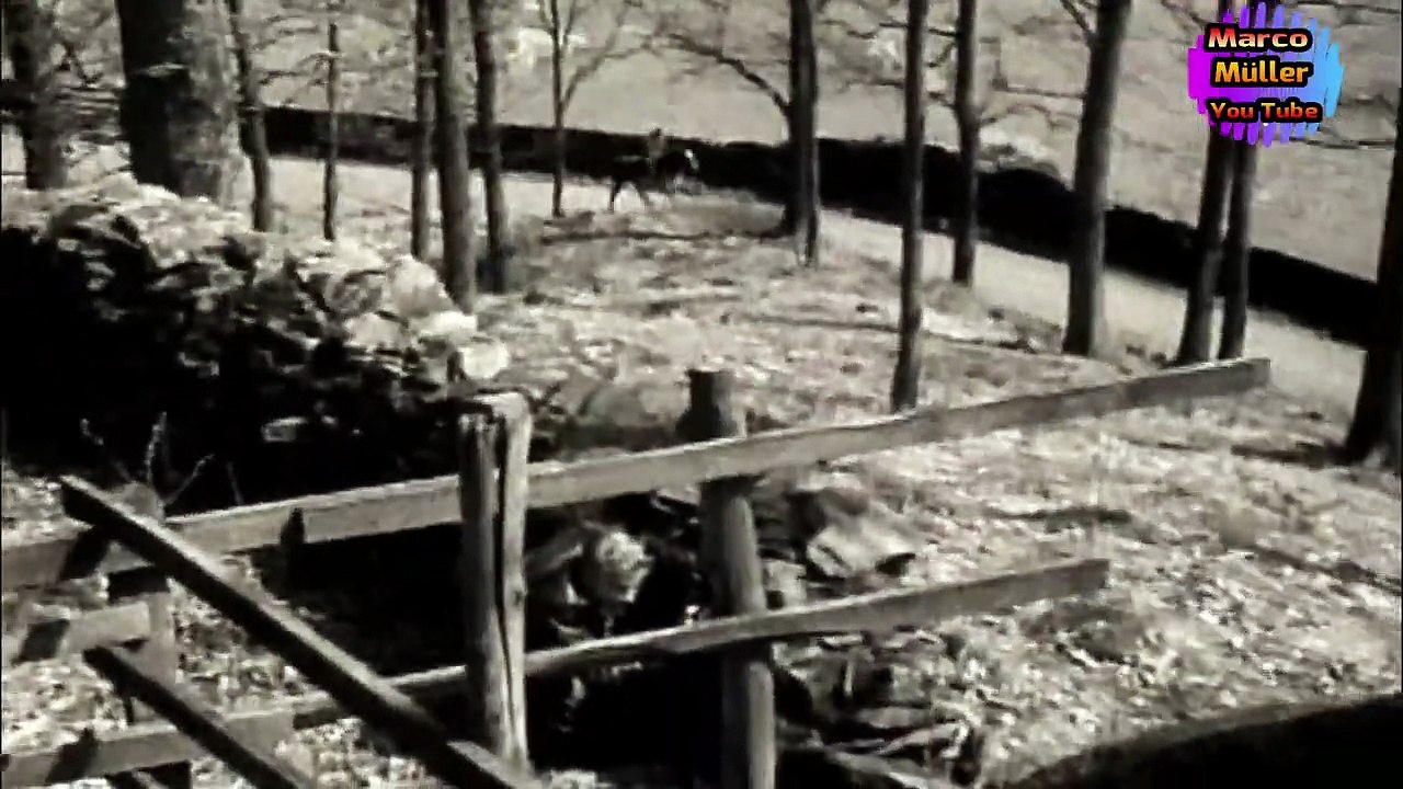 Einer kam durch (1957)