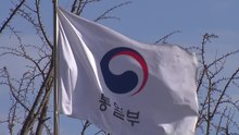 통일부 "업무보고서 영토조항 개헌 보고 없었고 검토도 안 해" / YTN