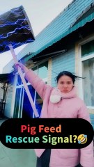 「Pig Feed = Rescue Signal? Wrong Guy + Chaotic Rescue 🤣 Who Gets This Ridiculous Move!」