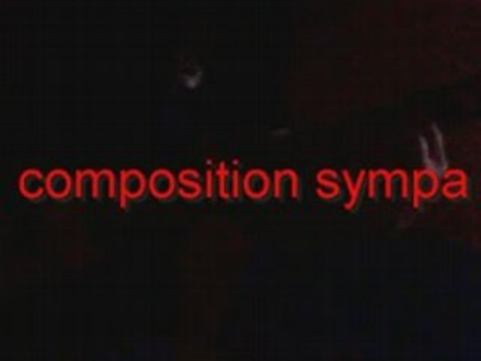 Compo sympa