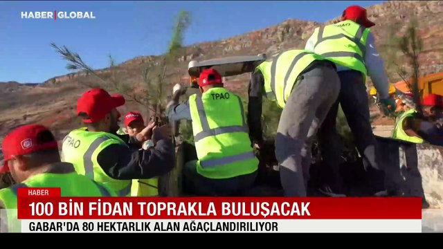 Gabar'da yeşil seferberlik: 100 bin fidan toprakla buluşacak