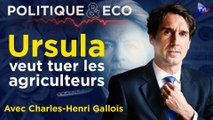 Mercosur, Industrie, Finances : LE MASSACRE - Politique & Eco avec Charles-Henri Gallois