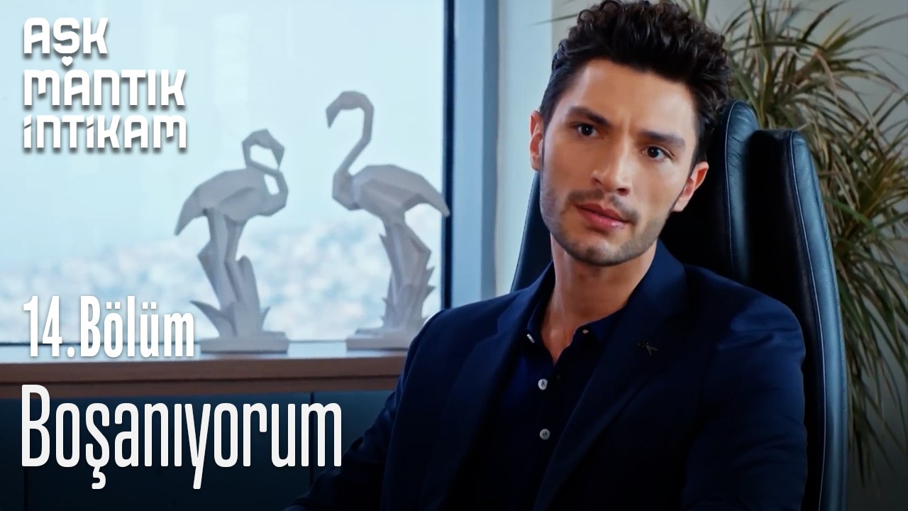Boşanıyorum-Aşk Mantık İntikam 14. Bölüm