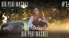 30 Dakikada Bir Peri Masalı #1