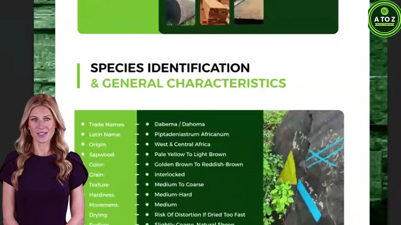 Why Data Sheets Matter in International Timber Trade