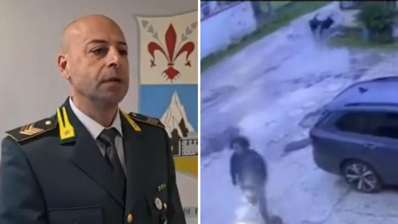 «Ero in auto quando ho visto i cani mordere la bambina»: il video dell'aggressione dei Rottweiller a Cascina