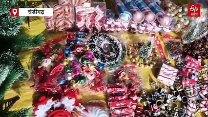 चंडीगढ़ में क्रिसमस की रौनक, बाजारों में सजे क्रिसमस ट्री, खूब हो रही खरीदारी