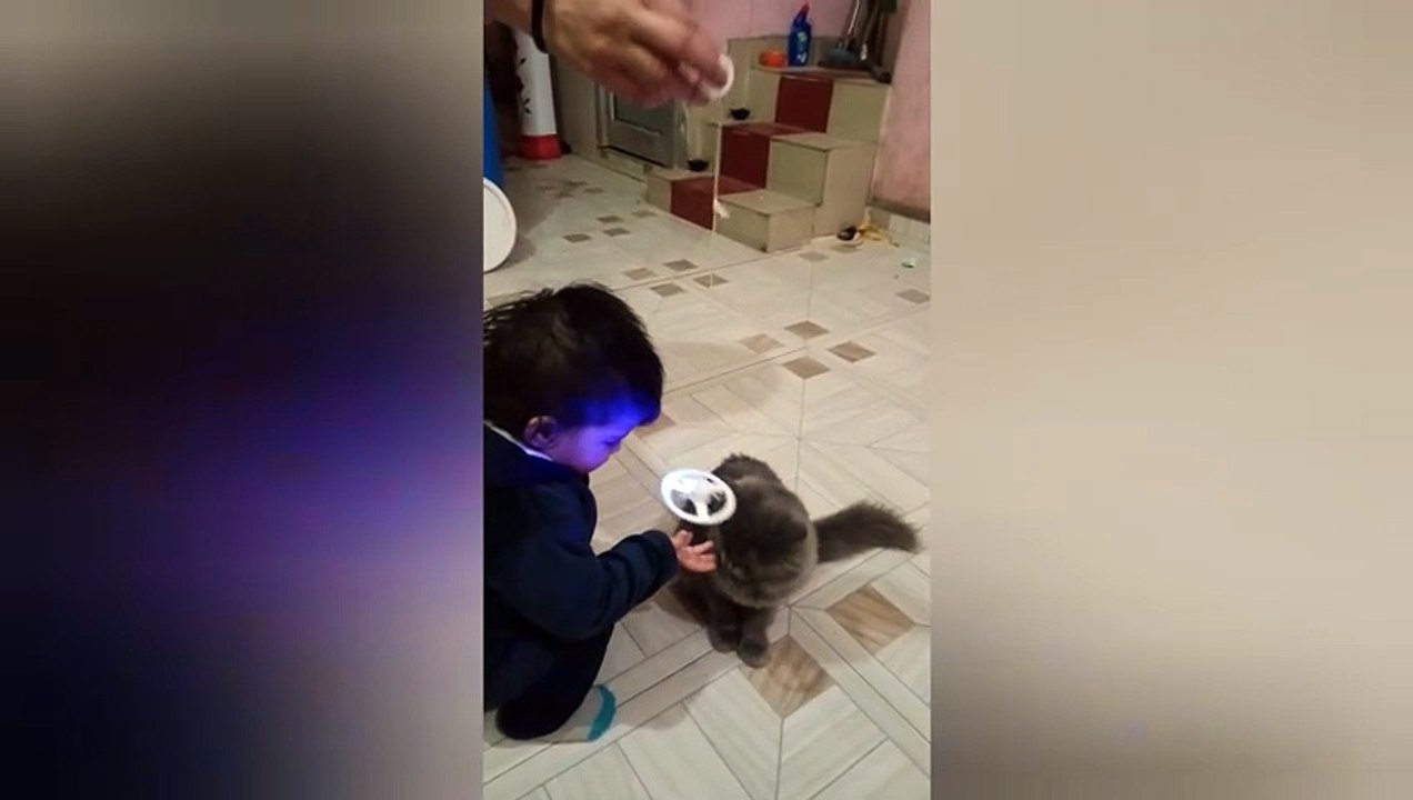 cute baby ❤️funny kitten #cat #cute #kitten