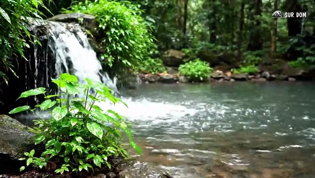 Part 60 - A Girl Alone Surviving In The Forest | Crafting a Clay Pot & Smoking Deer Meat in the Wild