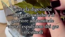 Tisane digestive per sopravvivere ai pranzi di Natale