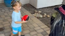 Toddler’s rivalry with the Halloween witch prop is pure hilarity