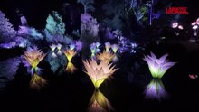 San Francisco, le installazioni artistiche ?Lightscape? attirano folle al Golden Gate Park