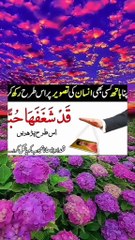 Apna hath ksi bhi insan jis ko ap psnd krty hn ye perhin wo apki muhabt min dewana ho jay ga