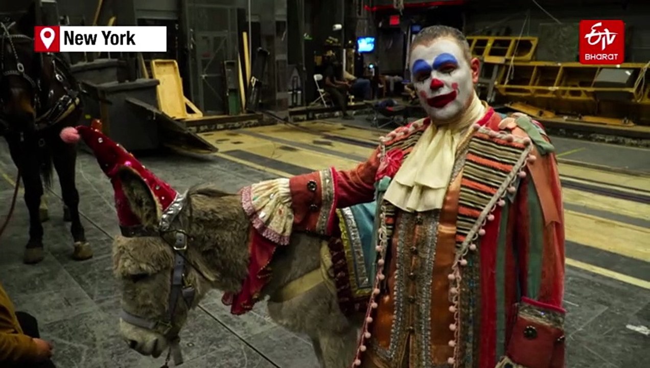 Pets, Pedis And Peppermints: When The Diva Is A Donkey
