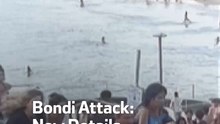 Bondi Attack:New Details