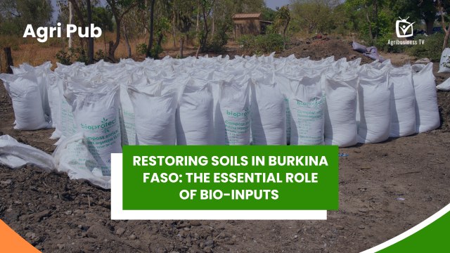 Agri Pub: Restoring soils in Burkina Faso, the essential role of bio-inputs
