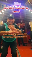 MAESTRO PANDOLFI AL CIRCO IN SICUREZZA ANTIMARANZA