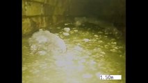 Monster 100 tonne fatberg discovered in London sewer amid Xmas warning