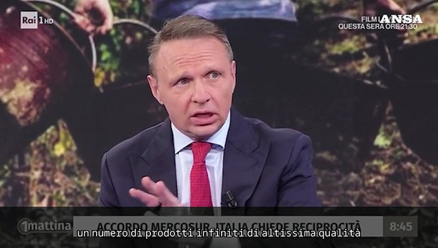 Lollobrigida: A Natale guardare alla qualita' dei prodotti e non al prezzo piu' basso