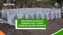 Agri Pub : Restaurer les sols du Burkina Faso, le rôle essentiel des bio-intrants