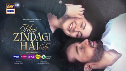 MERI ZINDAGI HAI TU | OST | ASIM AZHAR | SABRI SISTERS | ARY DIGITAL
