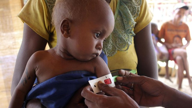 Famine à Madagascar:«Les paysans sont en situation de vulnérabilité face aux variations climatiques»