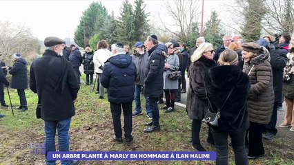 Un arbre planté à Marly en hommage à Ilan Halimi