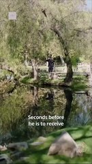 Rented a Billionaire Husband for Christmas Full Movies English Sub dailymotion