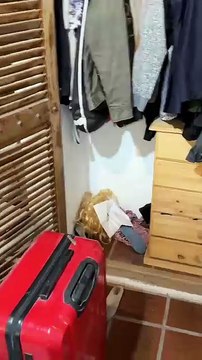 Guido Süller encontró ratas en su casa e indignó a los usuarios de Instagram