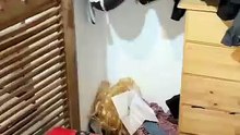 Guido Süller encontró ratas en su casa e indignó a los usuarios de Instagram