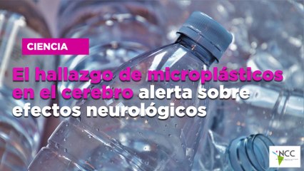 El hallazgo de microplásticos en el cerebro alerta sobre efectos neurológicos