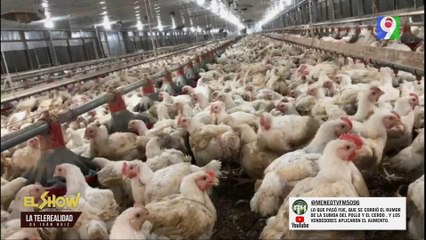 Pavel presidente del ADA da detalles sobre supuesto altos precios del pollo  | ESM