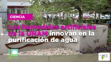 Los humedales artificiales de la UNAM innovan en la purificación de agua
