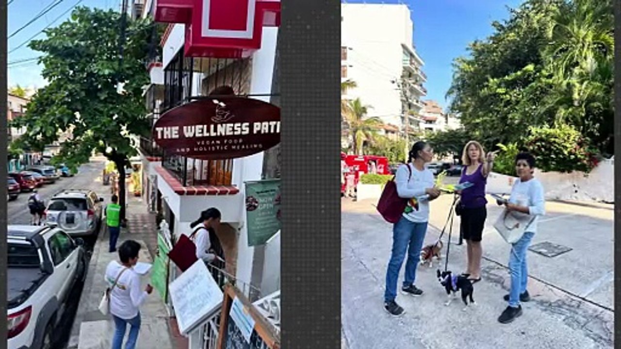 Vacaciones dejan más basura en Puerto Vallarta | CPS Noticias