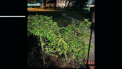 R T F 50 Years of Buccaneers Football S01E08