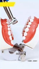 FX Style Dental Slow Speed Set – Straight Handpiece & 1:1 Contra Angle Air Motor