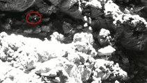Highlights From ESA's Rosetta Mission Landing On Comet 67P