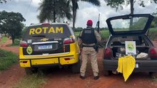ROTAM apreende mais de 85 quilos de maconha e prende dois homens na PR-586, em Santa Tereza do Oeste