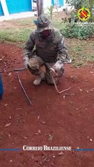 Cobra é resgatada em UPA, em Planaltina