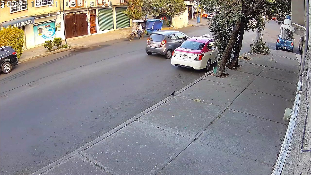 Captan en video maltrato animal contra un perro en la alcaldía Venustiano Carranza