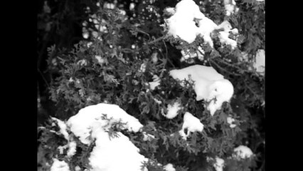 broken chains (a short film by samuel elias) | movie | 2025 | Official Clip