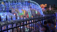 Man amasses 50,000 Christmas lights after two decades of decorating