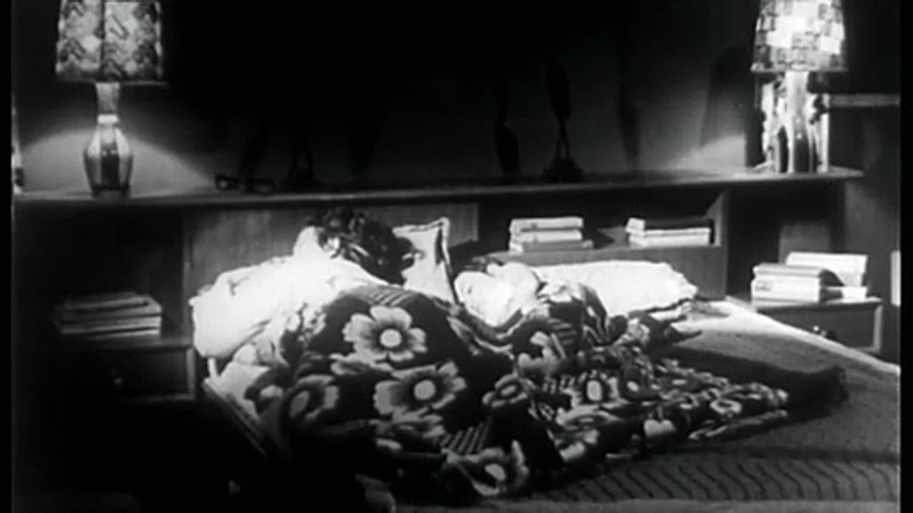 |AksiKucing|1966