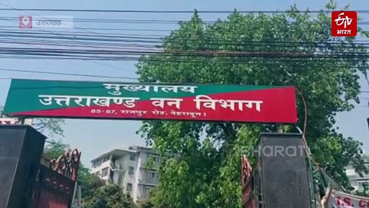 Year Ender 2025: जंगली जानवरों की दहशत से भरा रहा ये साल, खौफ ने तोड़ी सीमाएं, देखें आकड़े