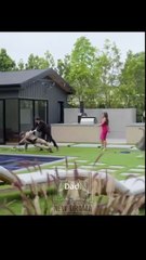 🍏💛🏴  - 10.12 One Last Temptation Before I Say I Do dailymotion Última tentación antes de casarme | Uma Última Tentação Antes de Dizer Sim👍 [Good] 🌍 x9qkva8