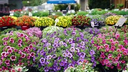 The Garden Gurus S39E19