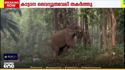 തൃശൂർ അതിരപ്പിള്ളിയിൽ ജനവാസ മേഖലയിൽ ഇറങ്ങിയ കാട്ടാന വൈദ്യുതവേലി തകർത്തു