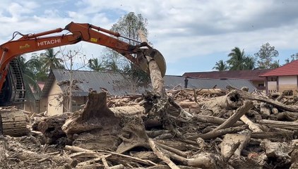 Tumpukan Kayu Gelondongan Banjir Bandang di Aceh Tamiang Mulai Dibersihkan