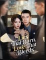 Lies That Burn, Love That Bleeds Drama Movies English Sub